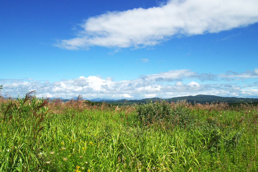 鶏を大切に育んでいます