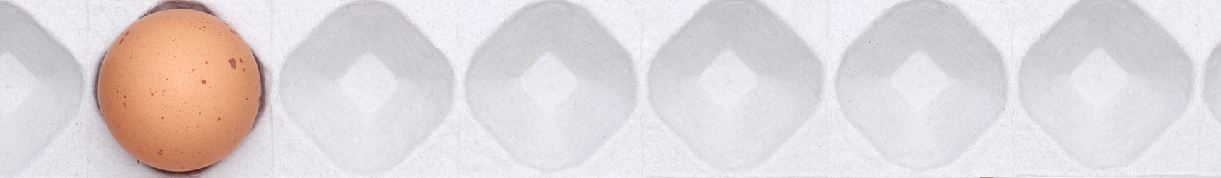 ＮＥＷＳ＆ＴＯＰＩＣＳ