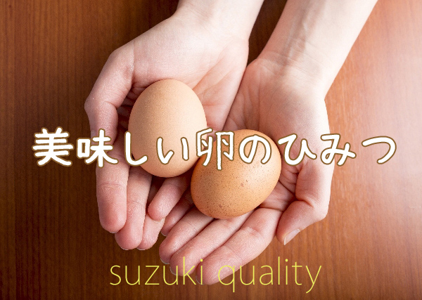 スズキファームの美味しい卵のひみつ